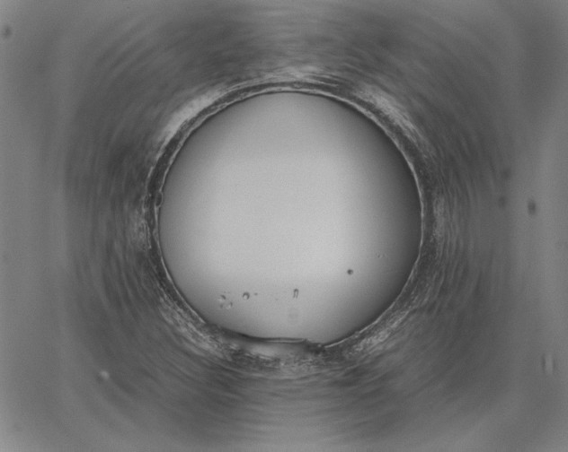 X0000067341308200604131716