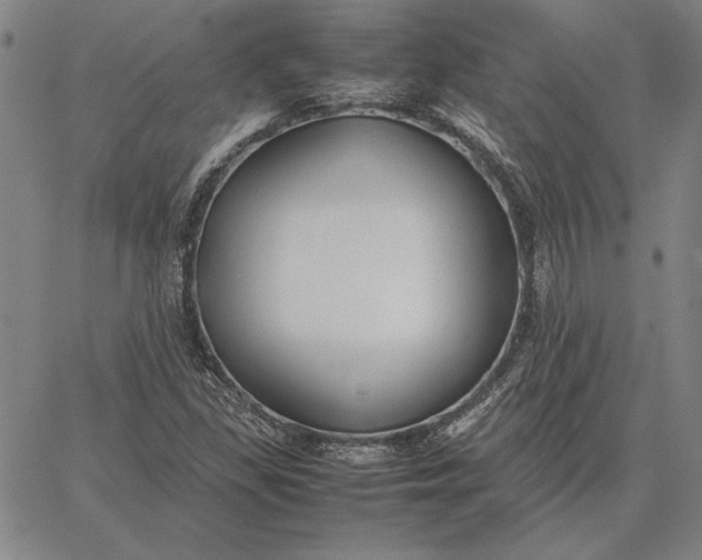 X0000067341309200604131716