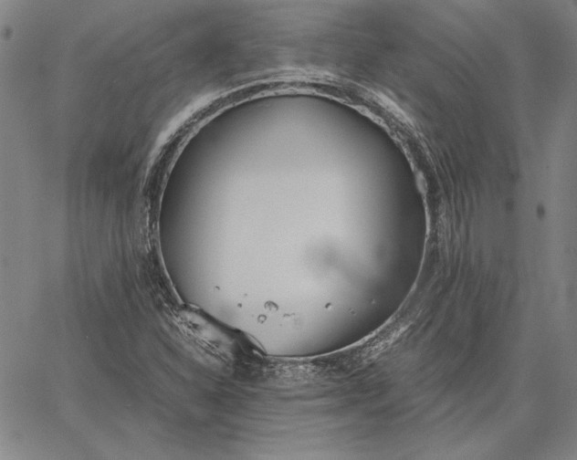 X0000067341310200604131716