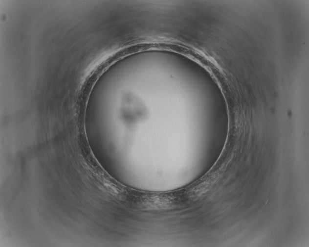 X0000067341311200604131716