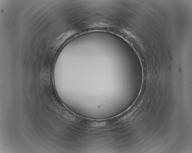 X0000067341313200604131716