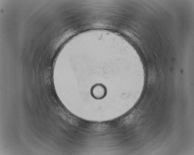 X0000067341314200604131716