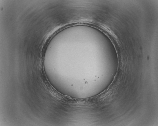 X0000067341316200604131716