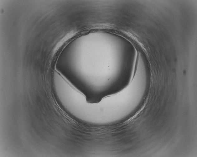 X0000067341317200604131716