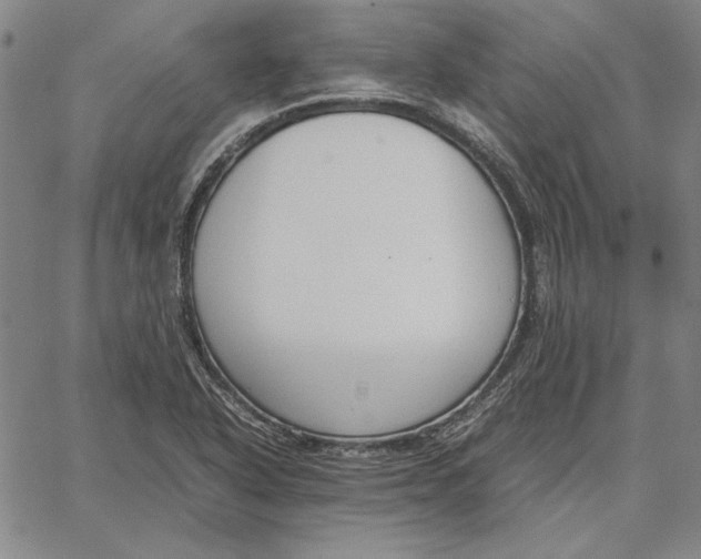 X0000067341318200604131716