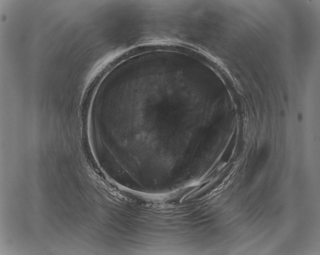 X0000067341319200604131716