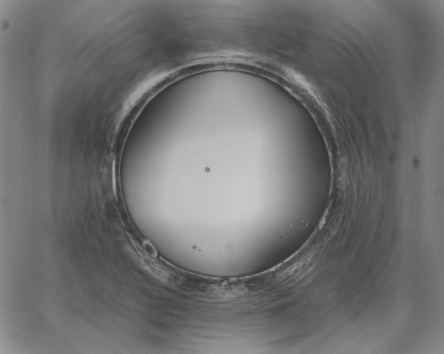 X0000067341320200604131716