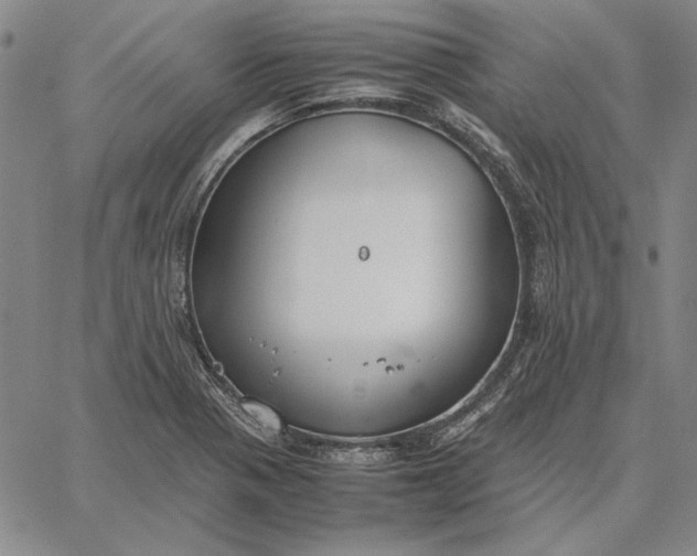 X0000067341321200604131716