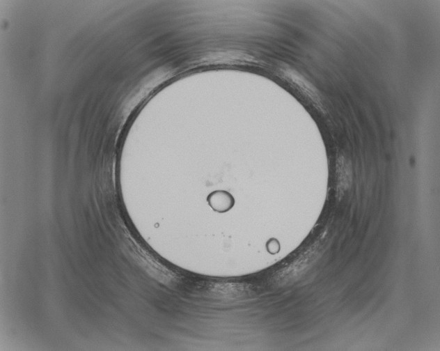 X0000067341322200604131716