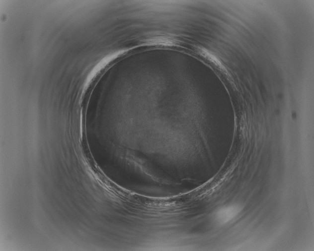 X0000067341323200604131716