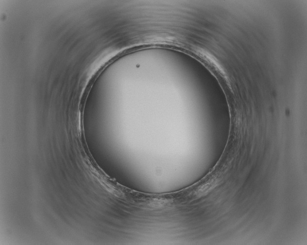 X0000067341324200604131716