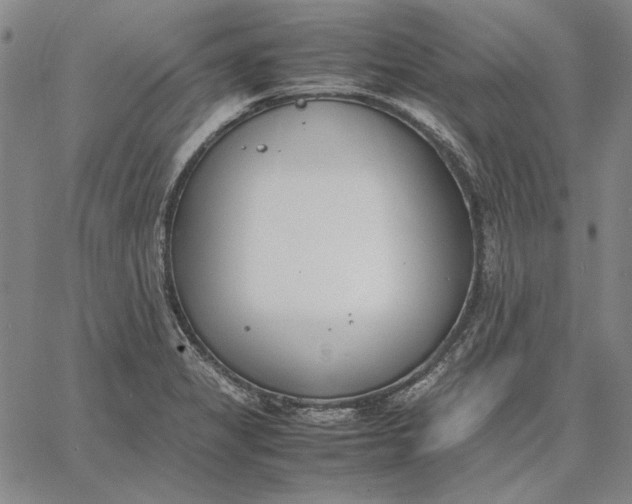 X0000067341325200604131716