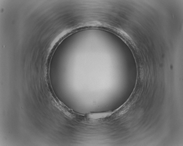 X0000067341326200604131716