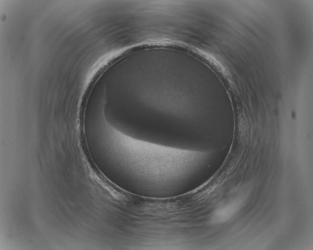 X0000067341327200604131716