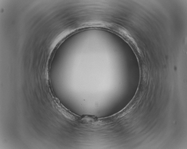 X0000067341328200604131716