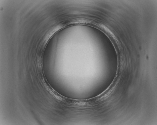 X0000067341329200604131716