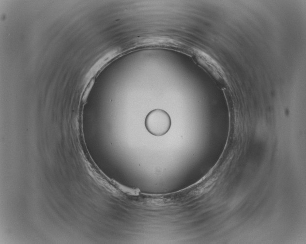 X0000067341330200604131716