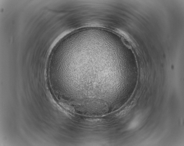 X0000067341331200604131716