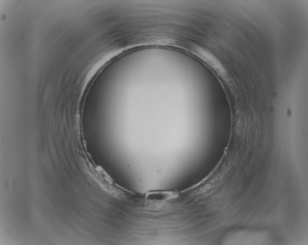 X0000067341332200604131716