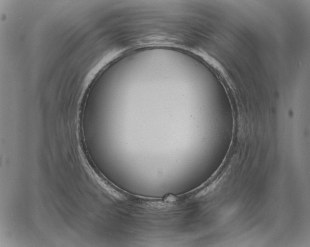 X0000067341333200604131716