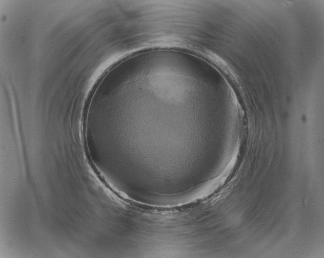 X0000067341334200604131716