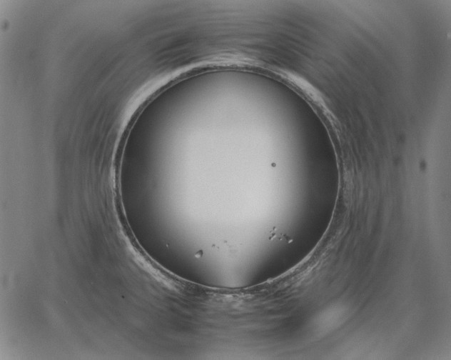 X0000067341335200604131716