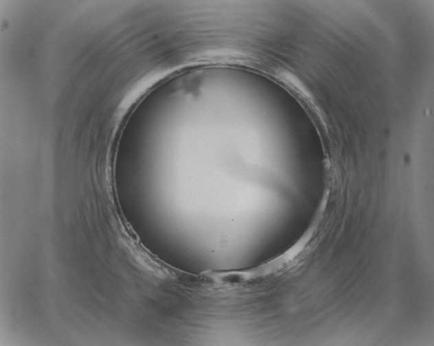 X0000067341336200604131716