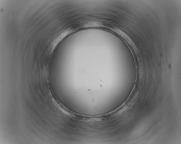 X0000067341337200604131716