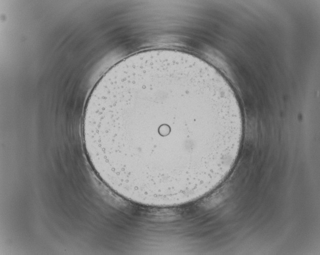 X0000067341338200604131716