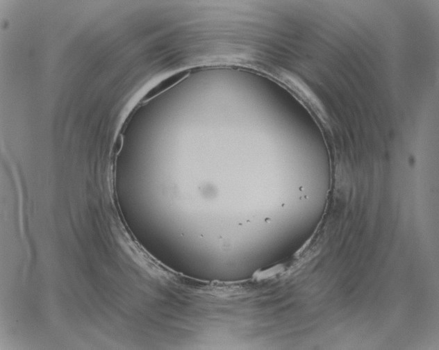 X0000067341340200604131716