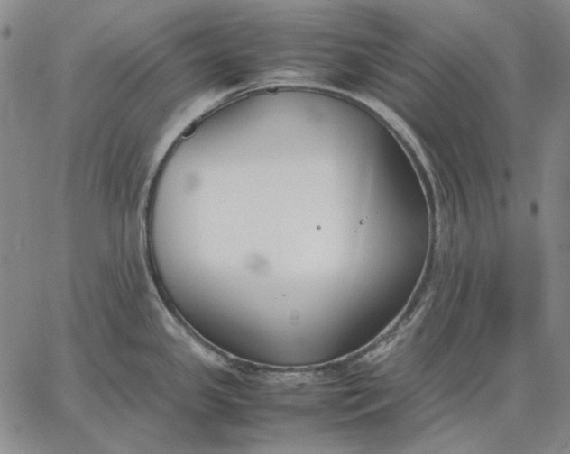 X0000067341341200604131716