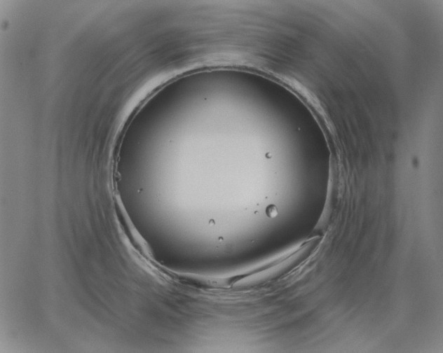 X0000067341342200604131716