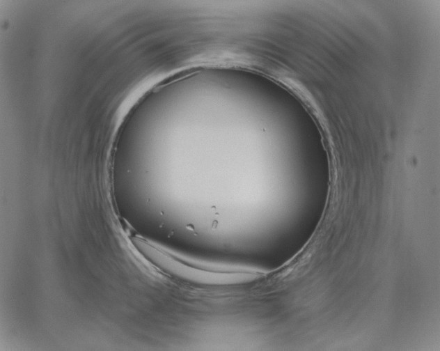 X0000067341344200604131716