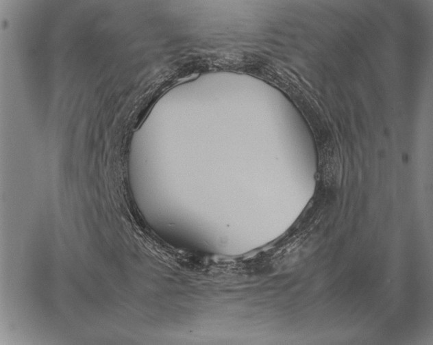 X0000067341345200604131715