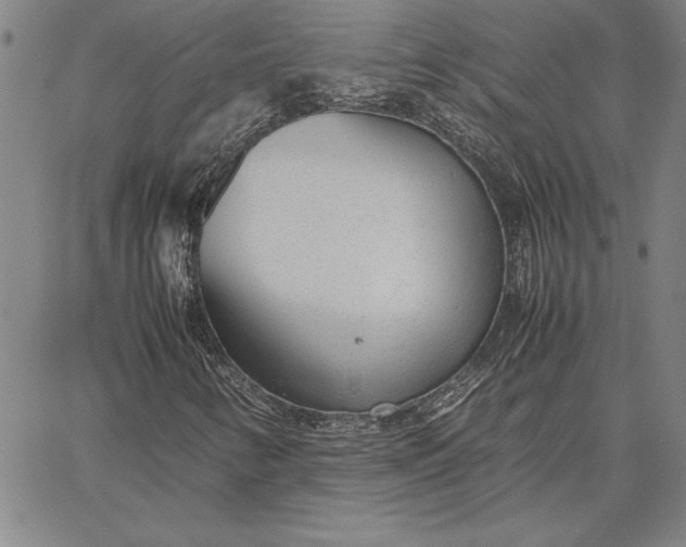 X0000067341346200604131715