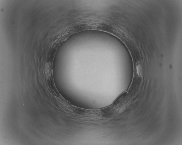 X0000067341347200604131715