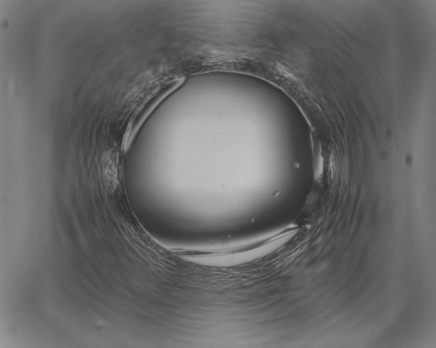 X0000067341348200604131715