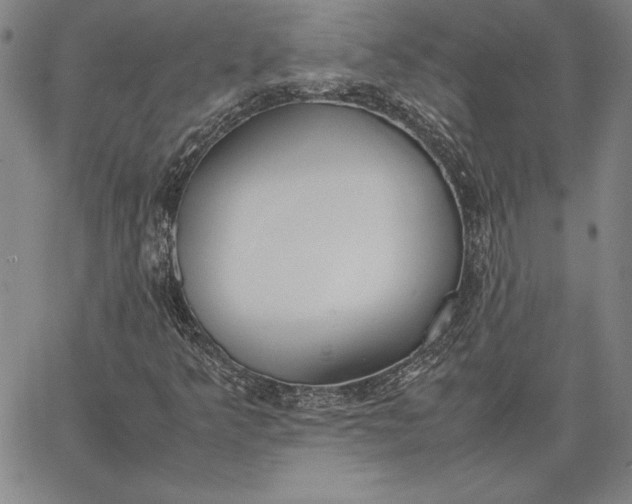 X0000067341349200604131715