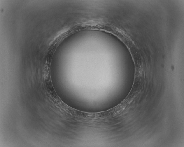 X0000067341350200604131715