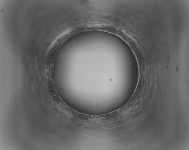 X0000067341351200604131715