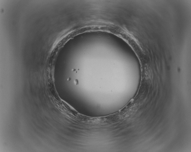 X0000067341352200604131715