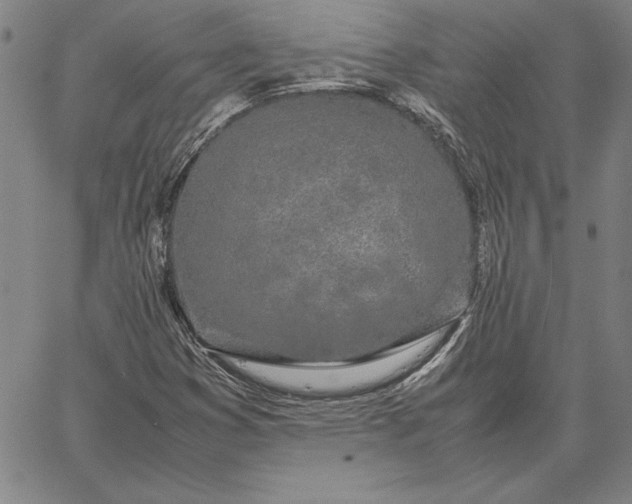 X0000067341353200604131715