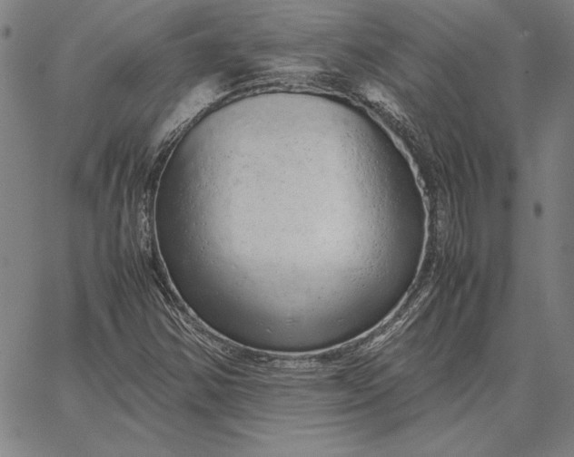 X0000067341354200604131715