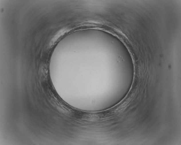 X0000067341355200604131715