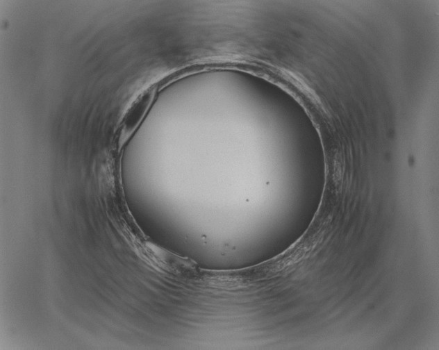 X0000067341356200604131715