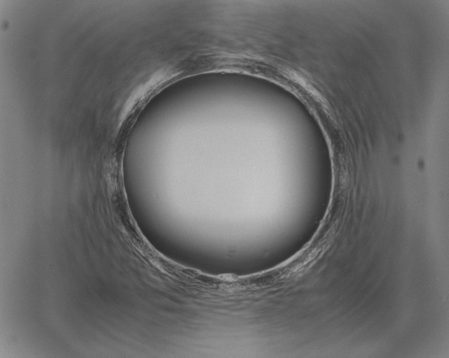 X0000067341357200604131715