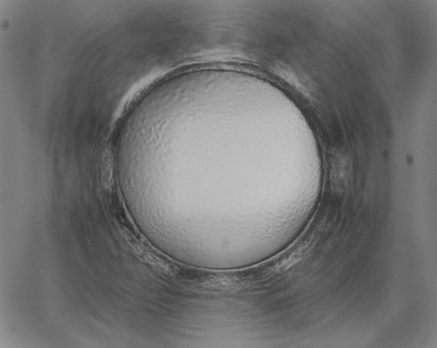 X0000067341358200604131715