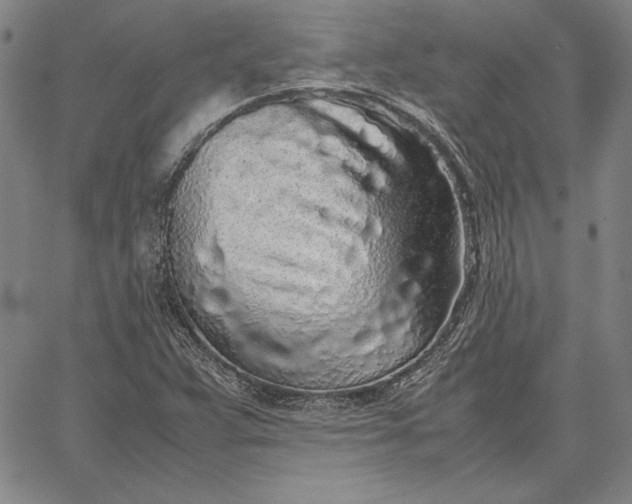 X0000067341359200604131715