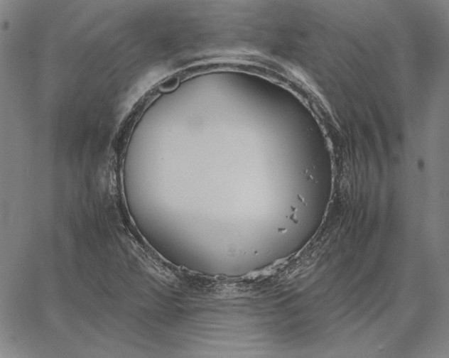 X0000067341360200604131715