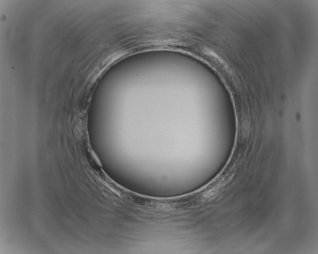 X0000067341361200604131715